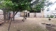 Satılır Torpaq, Qəbələ.ş-7