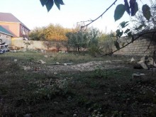 Satılır Torpaq, Qəbələ.ş-7