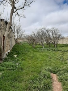 Satılır Həyət evi, Xəzər.r, Türkan-9