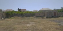Satılır Torpaq, Abşeron.r, Saray-2