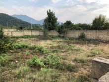 Satılır Torpaq, Qəbələ.ş-3