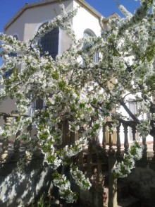 Satılır Həyət evi, Abşeron.r, Hökməli-3