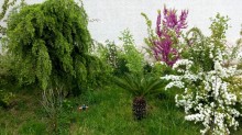 Satılır Həyət evi, Xəzər.r, Mərdəkan-4