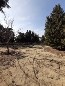 Satılır Həyət evi, Abşeron.r, Novxanı-10