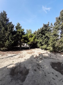 Satılır Həyət evi, Abşeron.r, Novxanı-11
