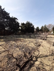 Satılır Həyət evi, Abşeron.r, Novxanı-12