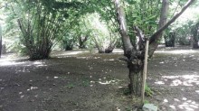 Satılır Torpaq, Qəbələ.ş-4