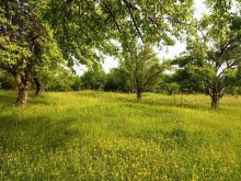 Satılır Həyət evi, Qəbələ.ş-3