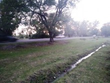 Satılır Torpaq, Qəbələ.ş-6