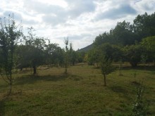 Satılır Torpaq, Qəbələ.ş-1
