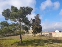 Satılır Torpaq, Xəzər.r, Şüvəlan, Koroğlu.m-1
