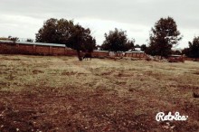 Satılır Torpaq, Qəbələ.ş-1