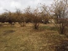 Satılır Torpaq, Qəbələ.ş-2