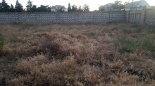 Satılır Torpaq, Xəzər.r, Mərdəkan, Koroğlu.m-3