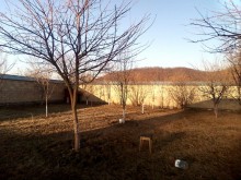 Satılır Həyət evi, Qəbələ.ş-14