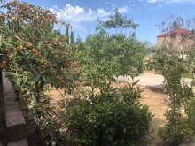 novxanıda böyük besedkalı bağ evi almaq, -13