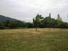 Satılır Torpaq, Qəbələ.ş-8