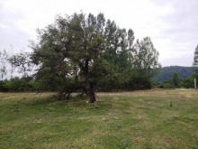 Satılır Torpaq, Qəbələ.ş-9