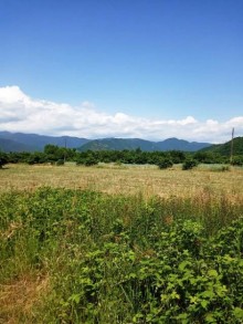 Satılır Torpaq, Qəbələ.ş-2