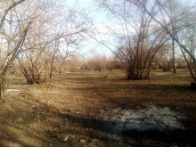 Satılır Torpaq, Qəbələ.ş-9