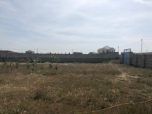 Satılır Torpaq, Xəzər.r, Şüvəlan, Koroğlu.m-3