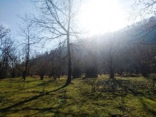 Satılır Torpaq, Qəbələ.ş-6
