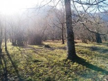 Satılır Torpaq, Qəbələ.ş-15
