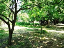 Satılır Torpaq, Qəbələ.ş-5