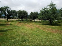 Satılır Torpaq, İsmayıllı.ş-4