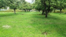 Satılır Torpaq, İsmayıllı.ş-13
