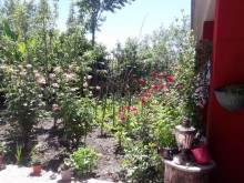 Satılır Həyət evi, Qəbələ.ş-2
