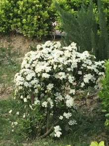 Satılır Həyət evi, Xəzər.r, Mərdəkan-4