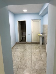 Kirayə (Aylıq) Obyekt, Nəsimi.r, Gənclik.m-7