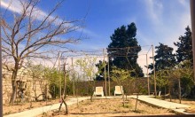 Kirayə (Aylıq) Həyət evi, Xəzər.r, Mərdəkan-2