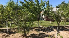 Satılır Həyət evi, Abşeron.r, Novxanı-13