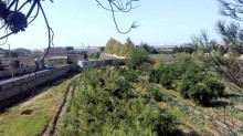 Satılır Torpaq, Sabunçu.r, Maştağa-2