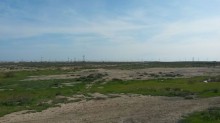 Satılır Torpaq, Abşeron.r, Pereküşkül-3