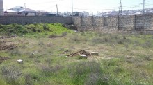 Satılır Torpaq, Abşeron.r, Hökməli-6