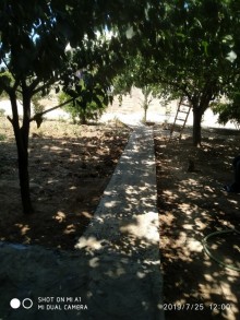 bina az kiraye evler, -2