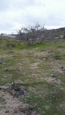 Satılır Torpaq, Sabunçu.r, Maştağa, Koroğlu.m-1