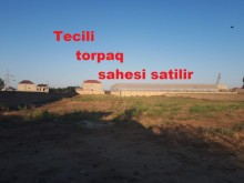 Satılır Torpaq, Abşeron.r, Məhəmmədli-1