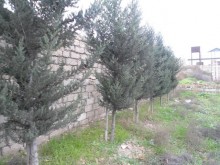 Satılır Torpaq, Xəzər.r, Mərdəkan-10