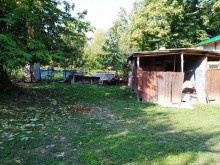Satılır Həyət evi, Qəbələ.ş-9