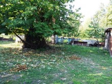 Satılır Həyət evi, Qəbələ.ş-10