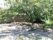 Kirayə (Aylıq) Həyət evi, Şəki.ş-2