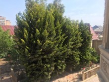 Satılır Həyət evi, Suraxanı.r, Hövsan-10