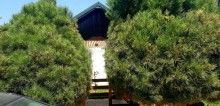 Kirayə (Aylıq) Həyət evi, Xəzər.r, Mərdəkan, Koroğlu.m-17