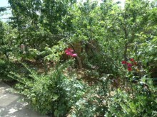 Satılır Həyət evi, Yasamal.r-19