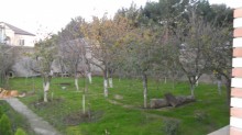 bineqedi heyder mescidi terefde villa evler, -14