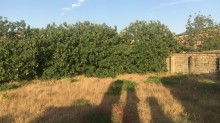 goradil heyet evi elanlari, -3
